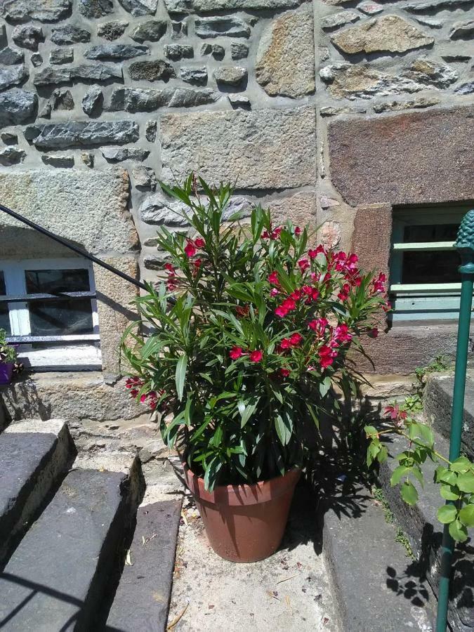 Apartamento Le Refuge Des Alpes Mancelles Fresnay-sur-Sarthe Exterior foto
